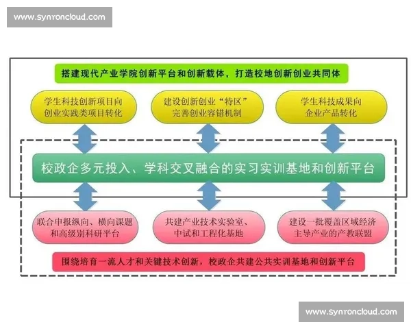 快速推进战略下企业创新与市场拓展的高效实践路径探索