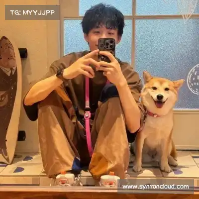 沈辉